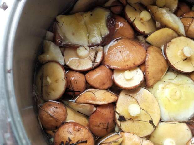 В Курске отравились грибами 4 детей