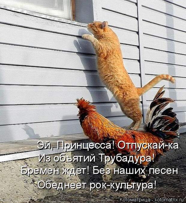 1483359583_11 (590x642, 104Kb)