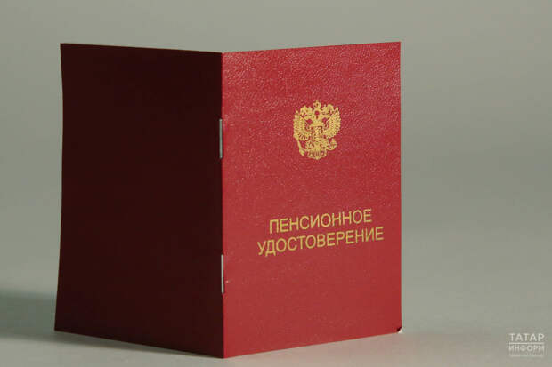 Матери 10 детей могут получать страховую пенсию, не проработав ни дня – экономист