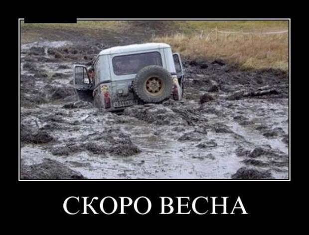 Демотиваторы или очередной сеанс смеха