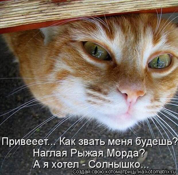 78628367_kotomatrix_044