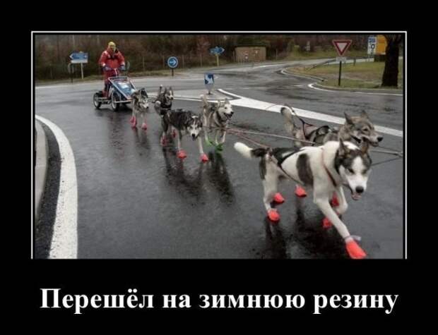 Демотиваторы (30 фото)