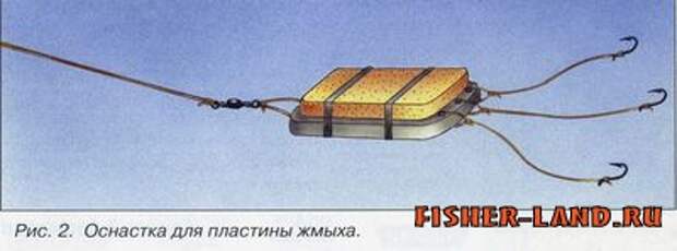 Ловля сазана, места ловли сазана, питание сазана, насадки для сазана, ловля сазана с лодки, насадки для ловли сазана 