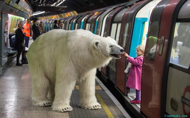2,5-метровый полностью анимированный полярный медведь будет установлен на лондонской станции метро Чаринг-Кросс.