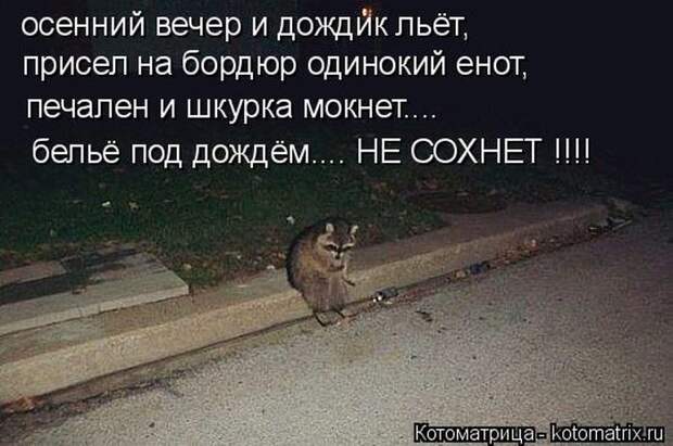 Самые лучшие котоматрицы прошедшей недели Самые лучшие котоматрицы прошедшей недели