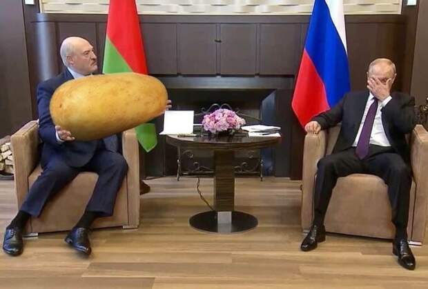 3 700 рублей каждая российская семья подарит Беларуси. Реакция соцсетей на обещание Путина