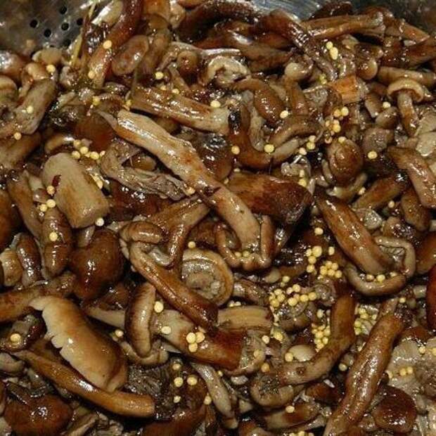 САМЫЕ ВКУСНЫЕ МАРИНОВАННЫЕ ОПЯТА