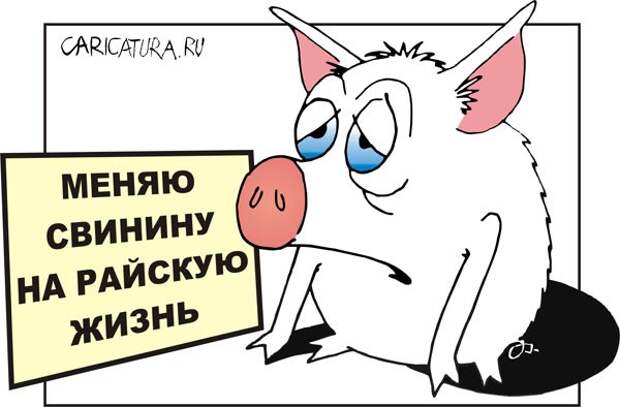 Что-то пошло не так