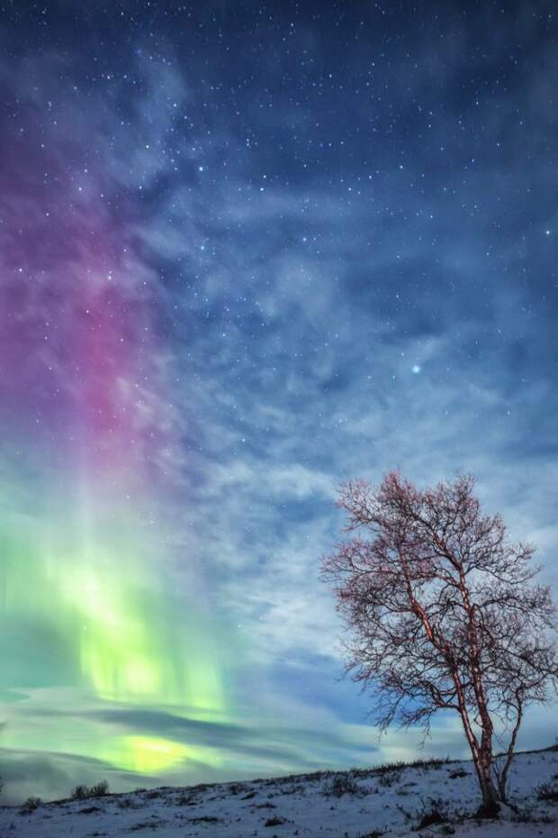 Autumn night