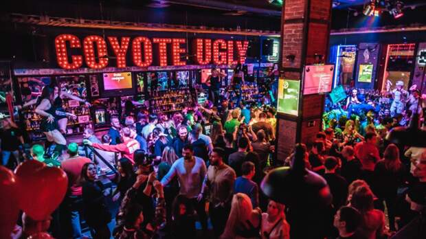 Night bar "Despicable Coyote" invites to its team Waiter-bartender, Host. Who we