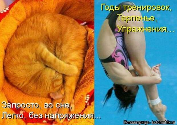 Свежий сборник котоматриц (34 шт)