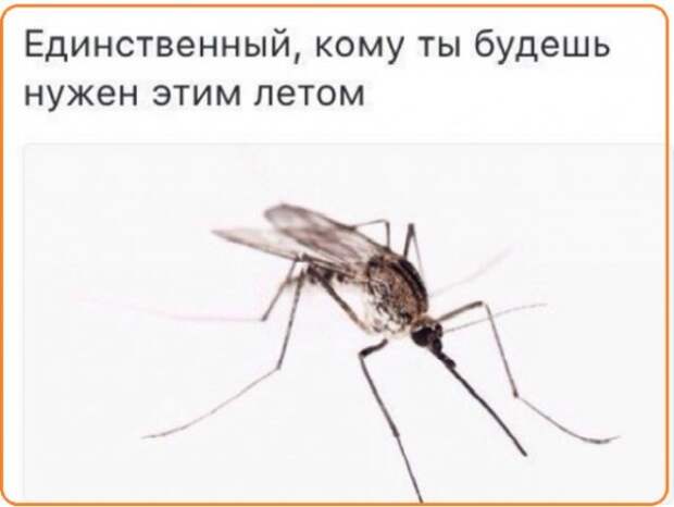 Анекдоты, истории и картинки с надписями