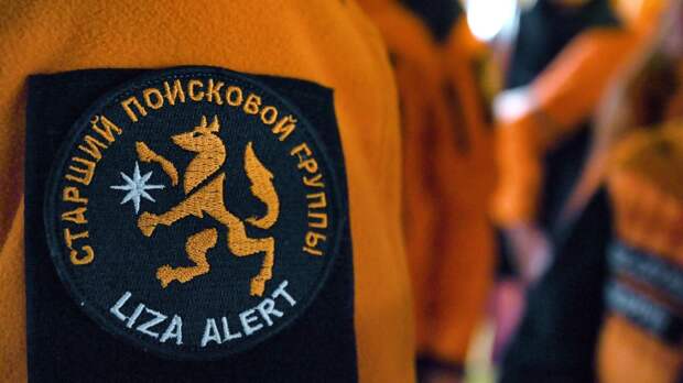 Пока вы не уснули: расстрел собак «Лизы Алерт» и Зеленский о блокировке «кислорода»