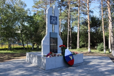 3166633.jpg