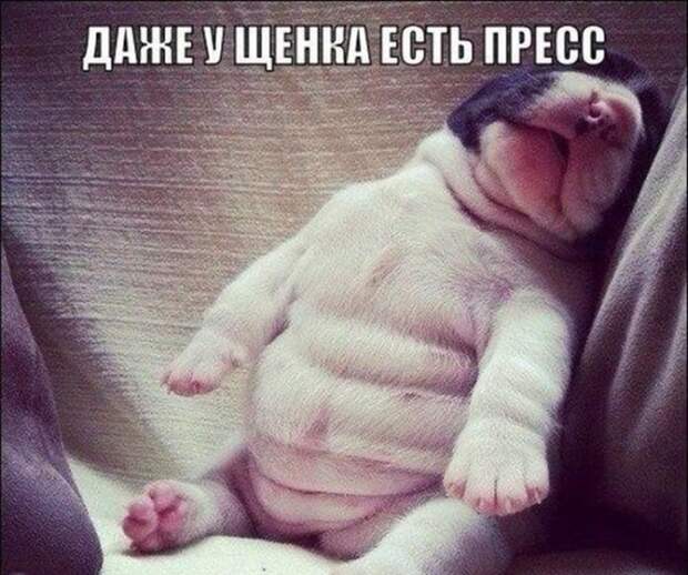 Смешная галерея фотоприколов # 97