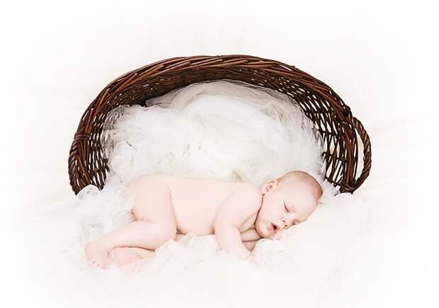 newborn baby sleeping in a basket
