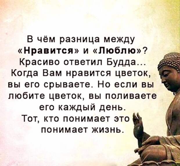 Мудрые мысли: эти слова способны перевернуть наше сознание