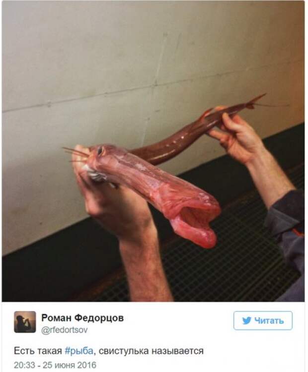 Познавательный твиттер моряка Романа Федорцова (16 фото)