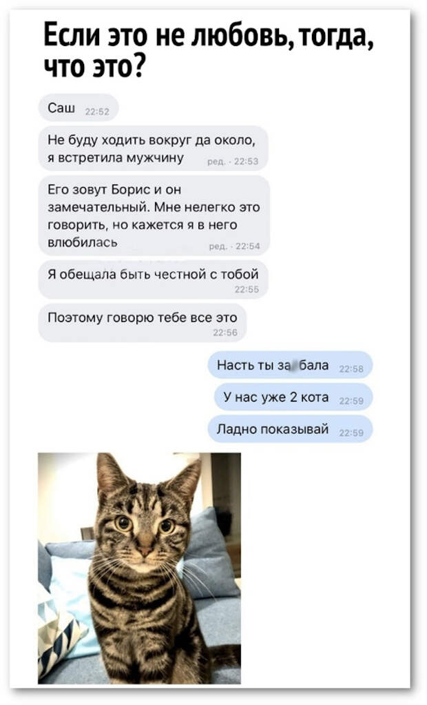 изображение: - Саша, не буду ходить вокруг да около. Я встретила мужчину. Его зовут Борис и он замечательный. #CМС приколы