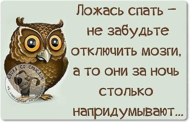 Эта подборка веселых и забавных историй подарит позитивный настрой на весь день!