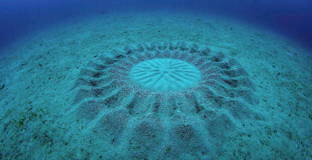 5bebac6417063f930c2daa502b930495