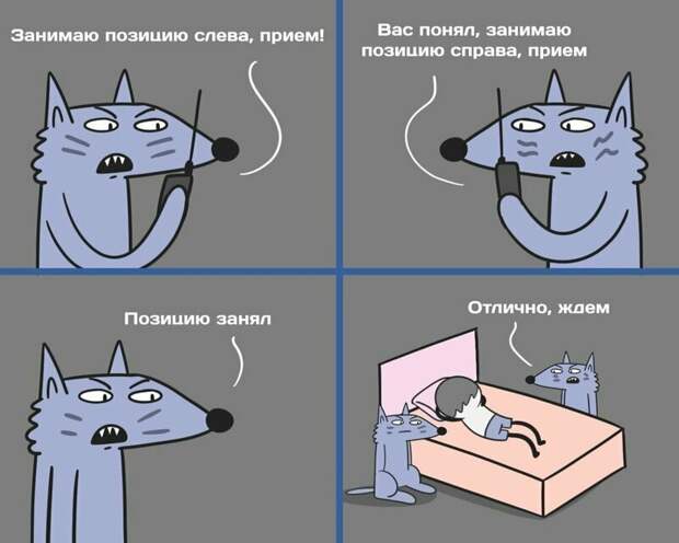 Занимательные научные факты в юмористических комиксах Занимательные научные факты в юмористических комиксах