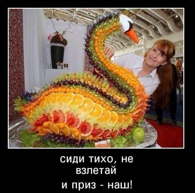 Демотиваторы (30 фото)