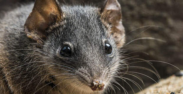 5107c48bbae20c12c0f01e1fe6100828