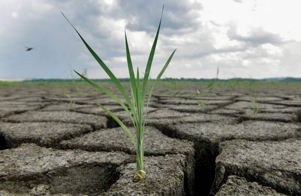 ООН предупредила о новой глобальной катастрофе