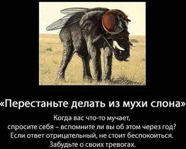 Прикольные и жизненные демотиваторы