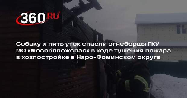 Пожарные спасли животных при тушении возгорания в деревне Чешково