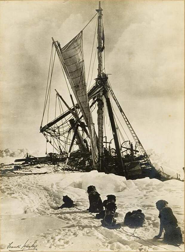 antarctica02 Самые впечатляющие фотографии Антарктиды начала 20 века