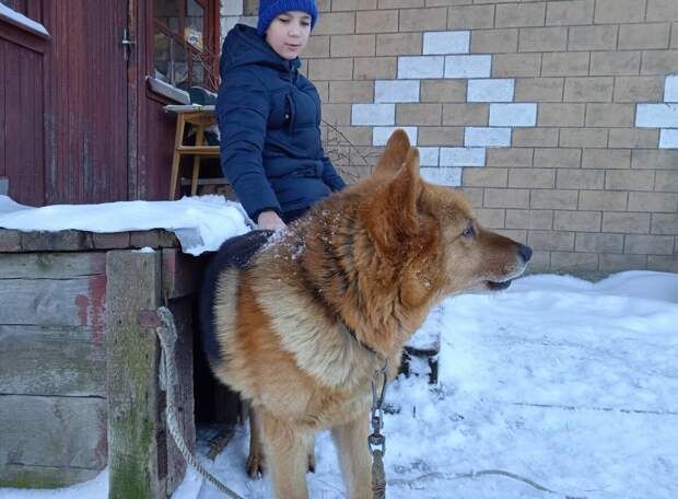 Верный друг Джек.