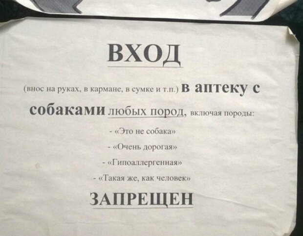 «А про котов ничего не сказано, значит можно!?»