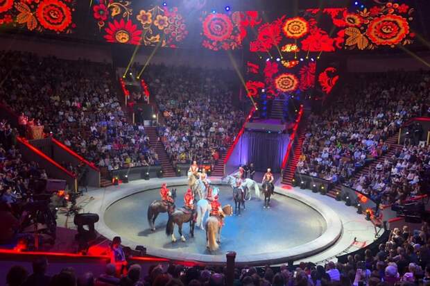Большой Московский цирк привез в Петербург новогоднее шоу «Сказка о Золотой рыбке»