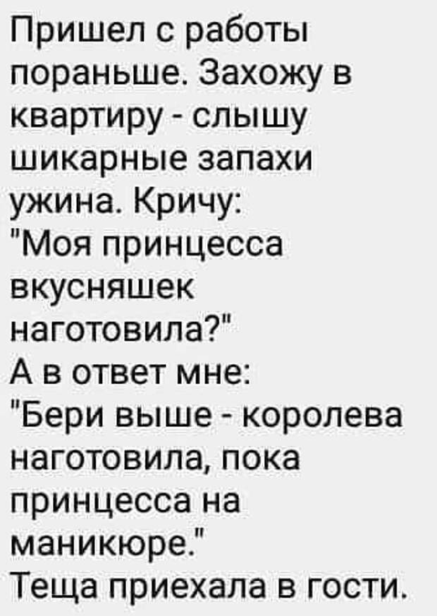 Эта подборка веселых и забавных историй подарит позитивный настрой на весь день!