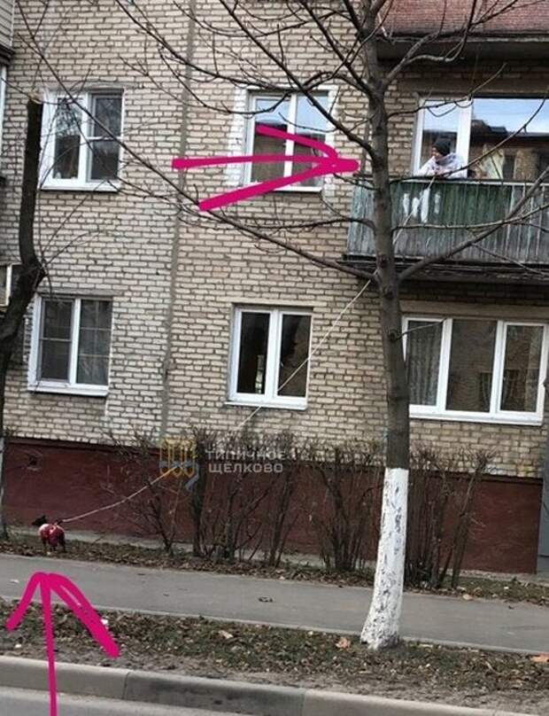 Прикольные картинки абавсём:D