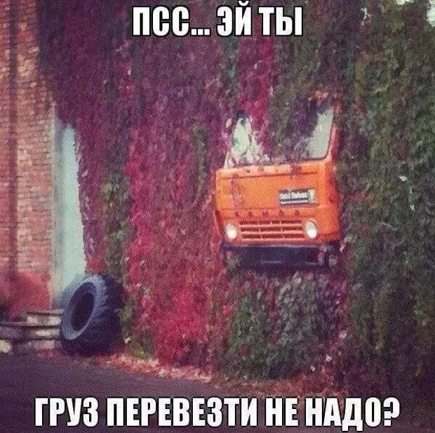 Четырёхколесный юмор