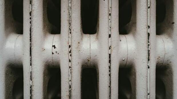 Фото: Julian Hochgesang / unsplash.com