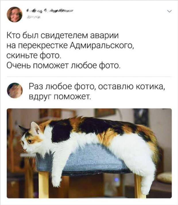 16 человек, которые восприняли все чересчур буквально