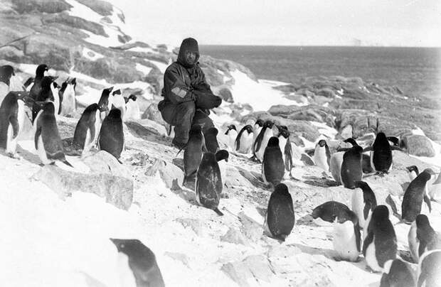 antarctica09 Самые впечатляющие фотографии Антарктиды начала 20 века