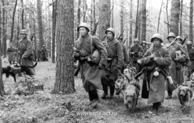 Они тоже служили Они тоже служили