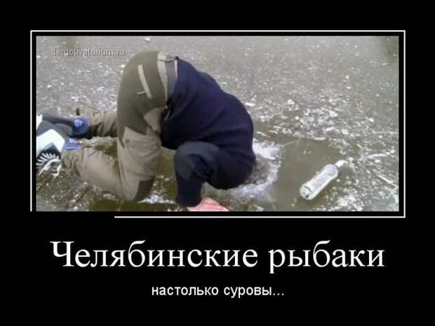 Прикольные демотиваторы