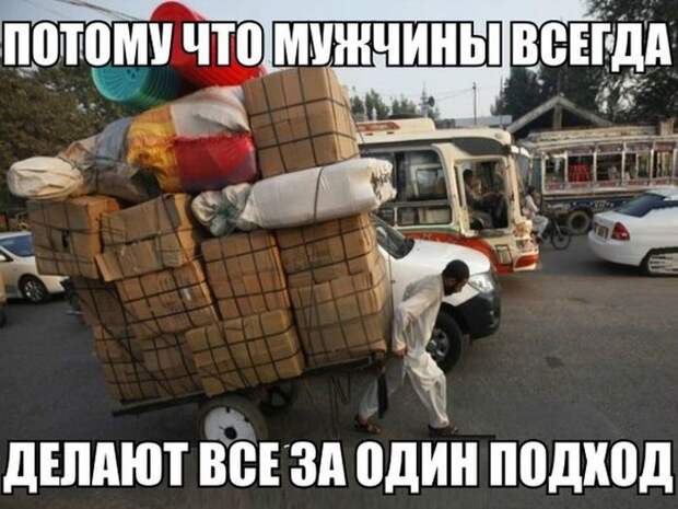 Картинки со смешными подписями картинки, юмор, прикол