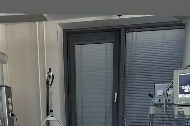 Юрист Хаминский: суд может освободить Лерчек от наказания, если она успеет родить