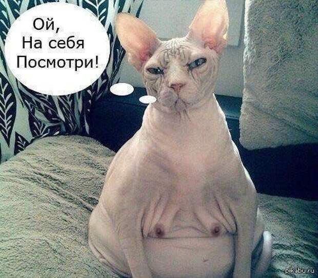 Всяко - разно 11 ))) Всяко - разно 11 )))