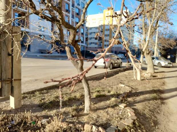 Завтра столбик термометра в Астраханской области поднимется выше +10