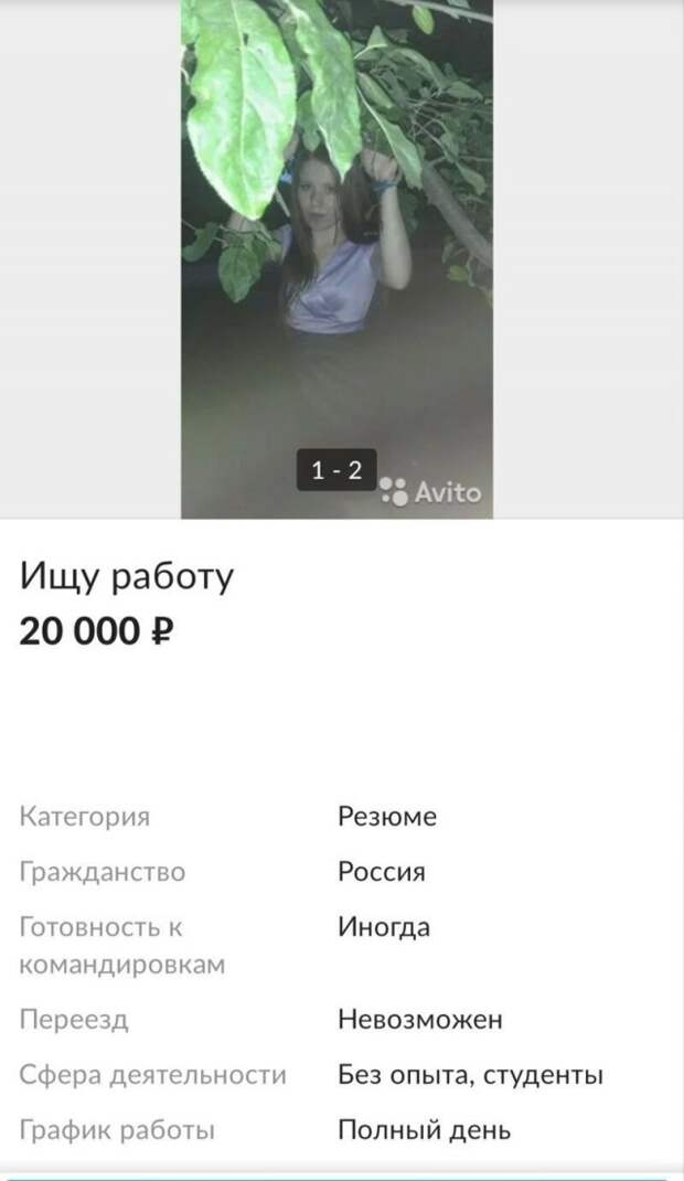 www.vsyako.net