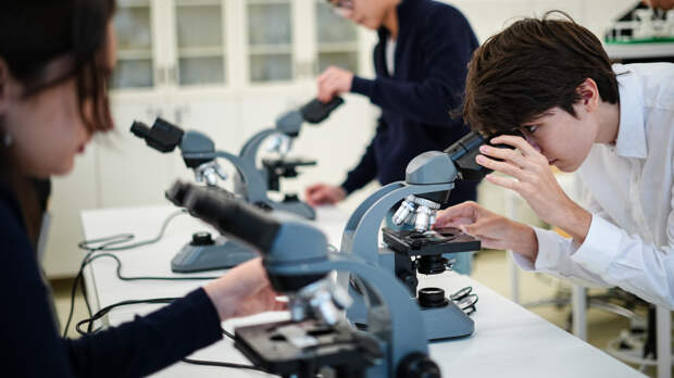 Собянин: интерес к естественно-научной вертикали в школах Москвы вырос вдвое