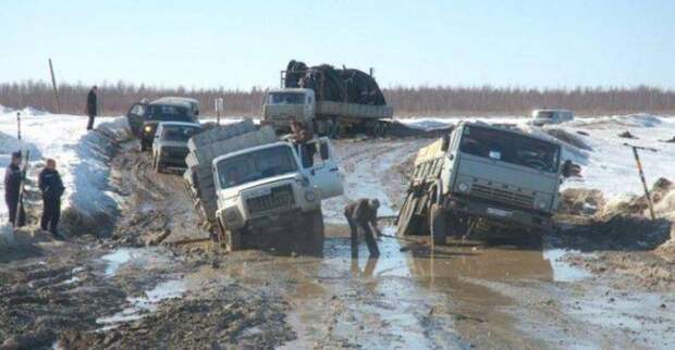 Только в России (41 фото)